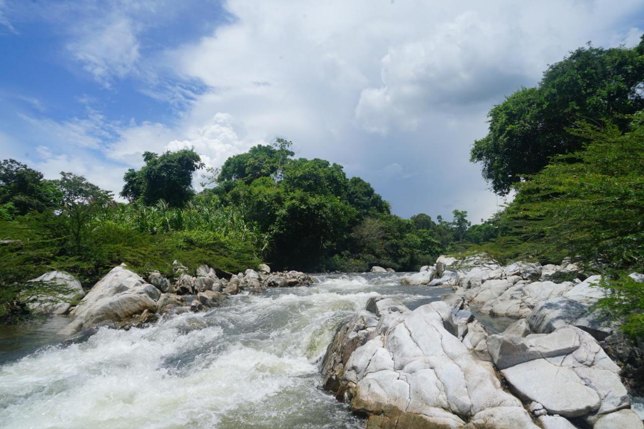 La Ponderosa Reserve Buritaca Dış mekan fotoğraf
