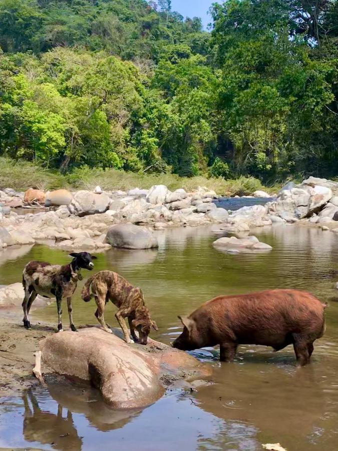 La Ponderosa Reserve Buritaca Dış mekan fotoğraf