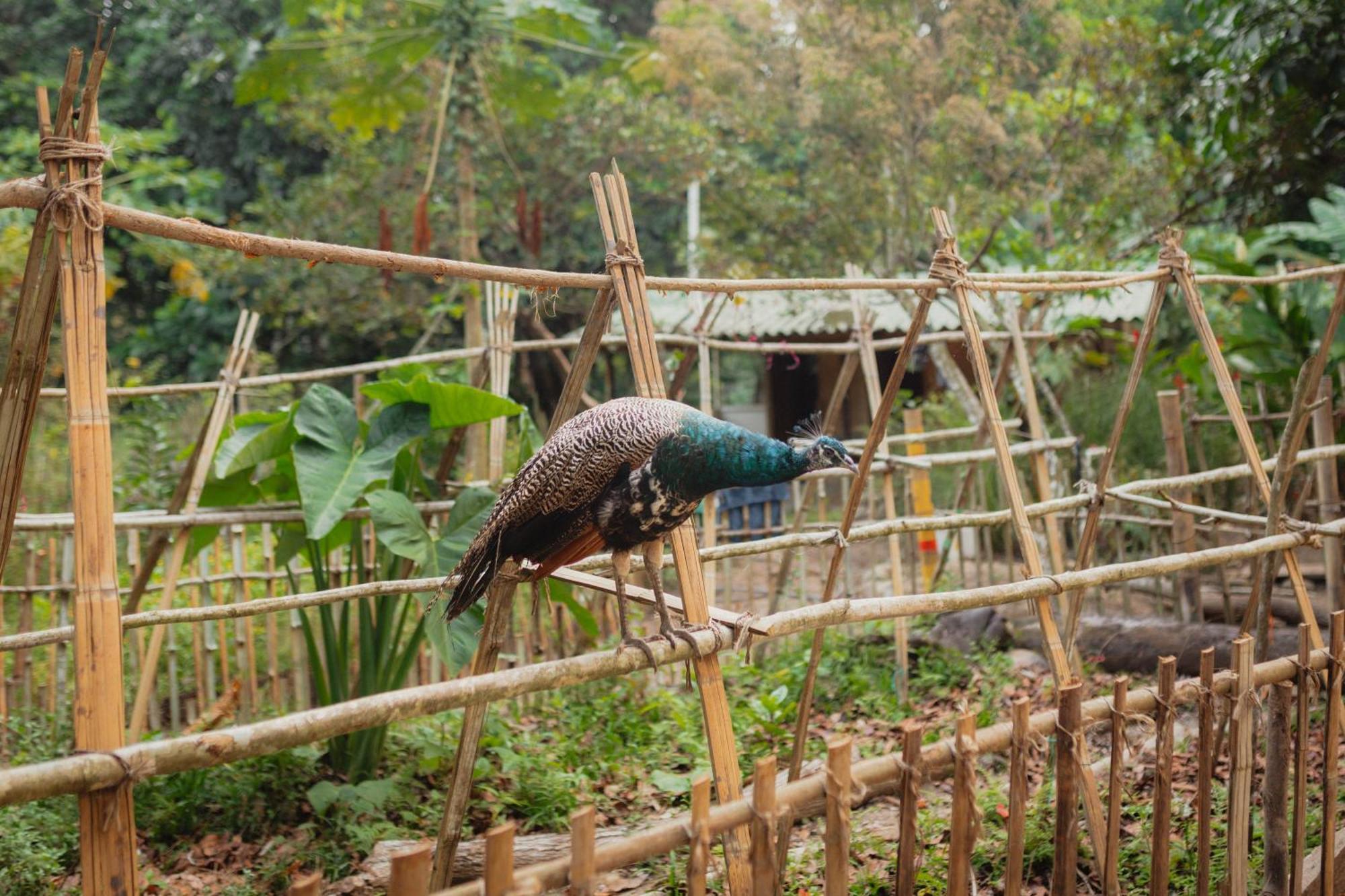 La Ponderosa Reserve Buritaca Dış mekan fotoğraf